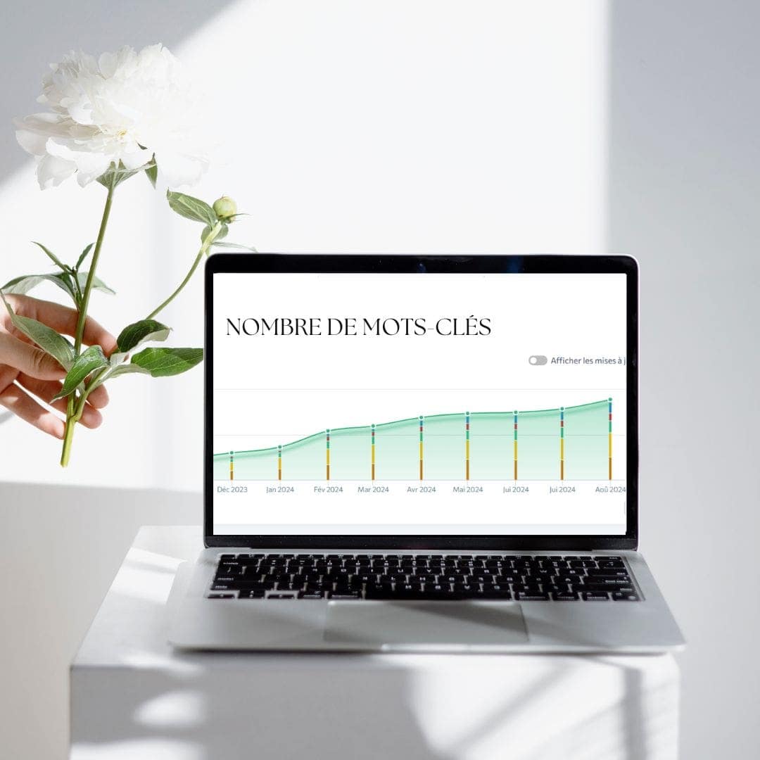Progression du nombre de mots-clés SEO sur un site